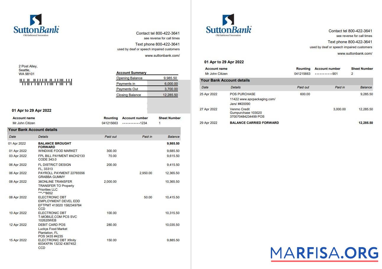 Printable USA Sutton bank statement 2 pages word sample
